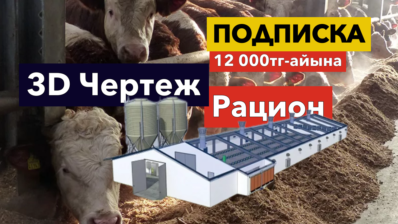 1 айлық VIP тіркелім