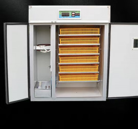 Инкубатор BESIK 720 жұмыртқаға