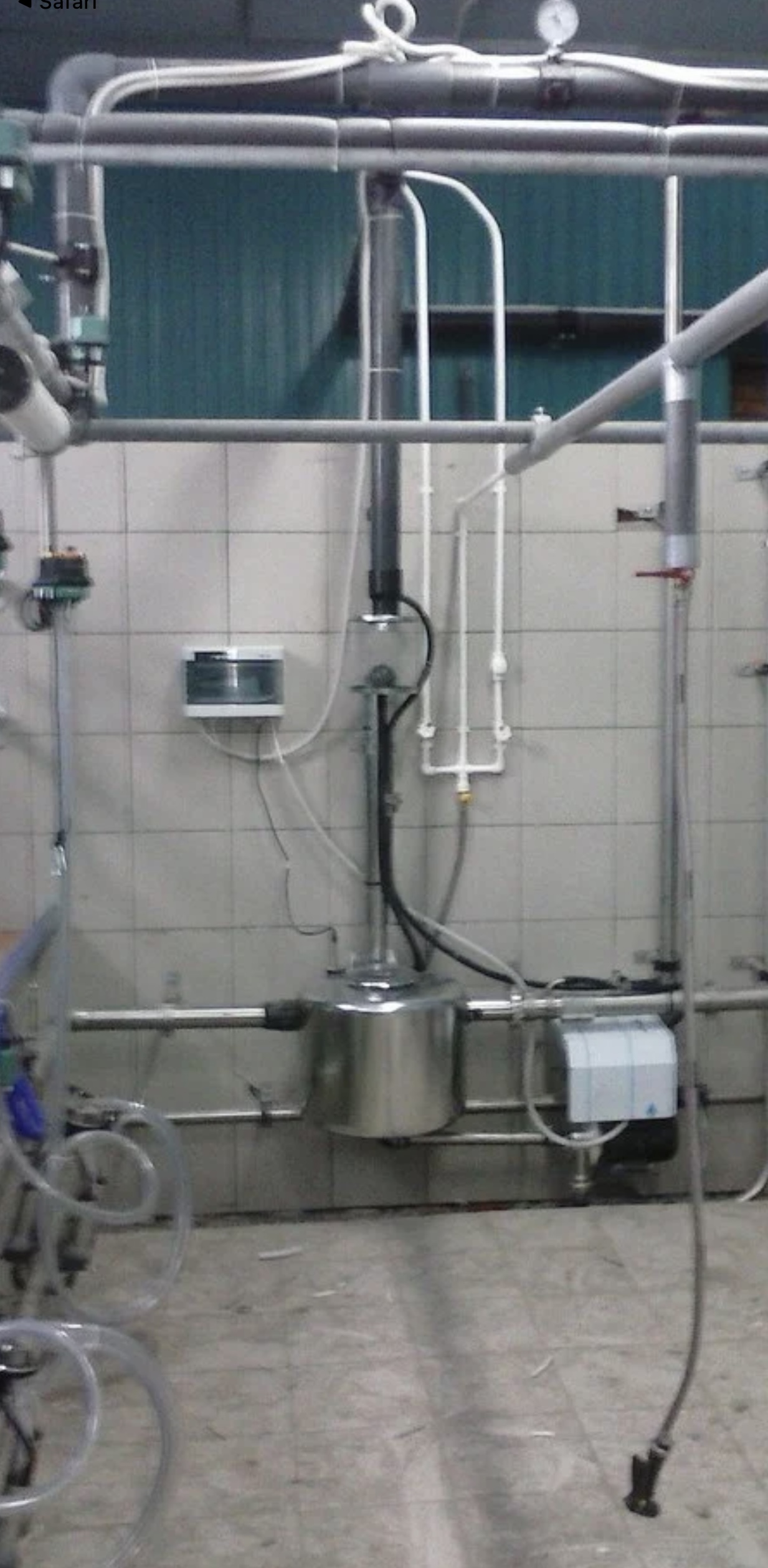 Сүт сауу бөлімі 2*16  600 бастан жоғары