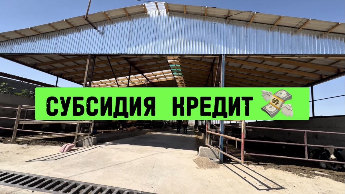 Әзірбайжанның Баку қаласындағы транссексуалдар